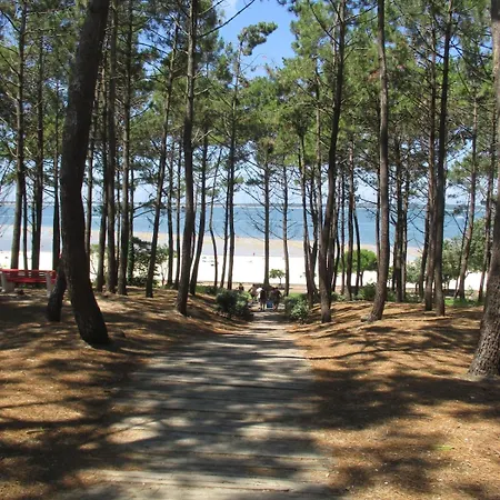 Maison Avec Grand Jardin Proche Arcachon